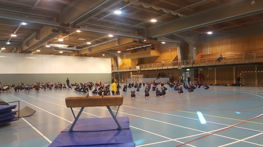Symjehallen i Førdehuset