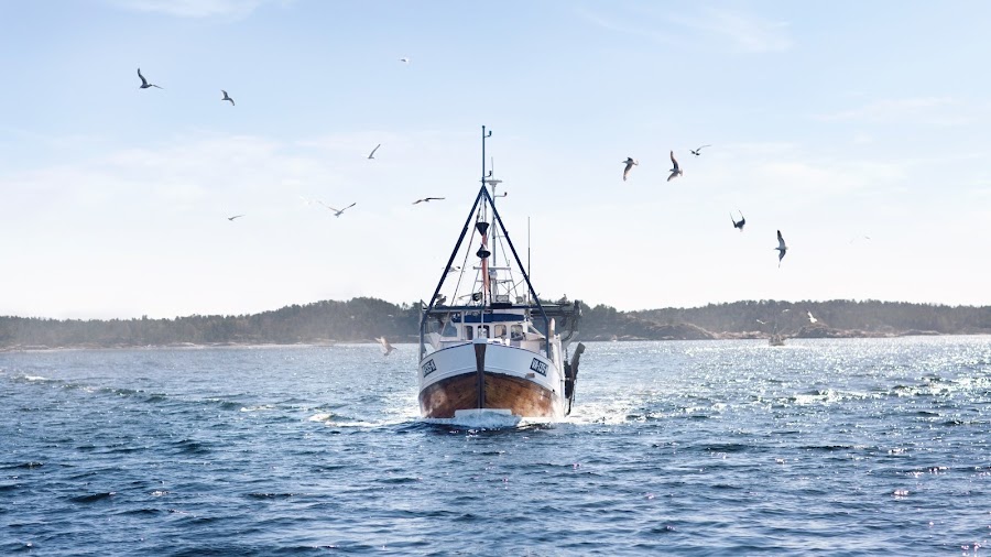 Fiskespretten