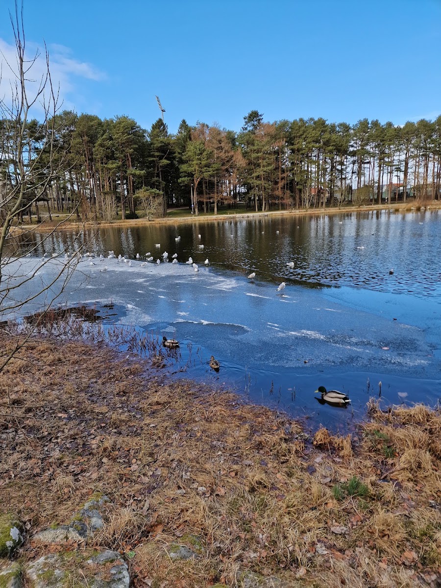 Giske svømmehall